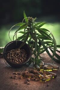 Usos del aceite de cannabis